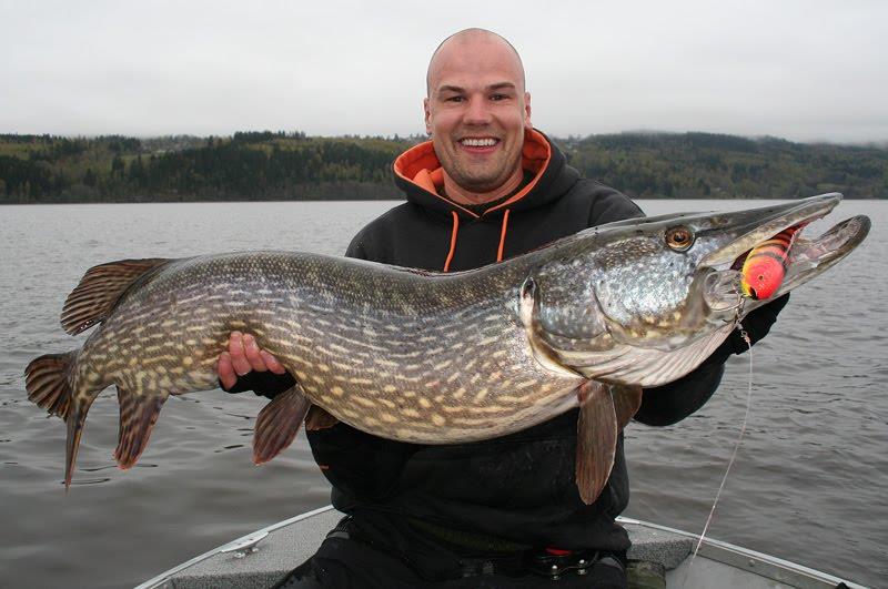 de pe net - joker124kg.jpg